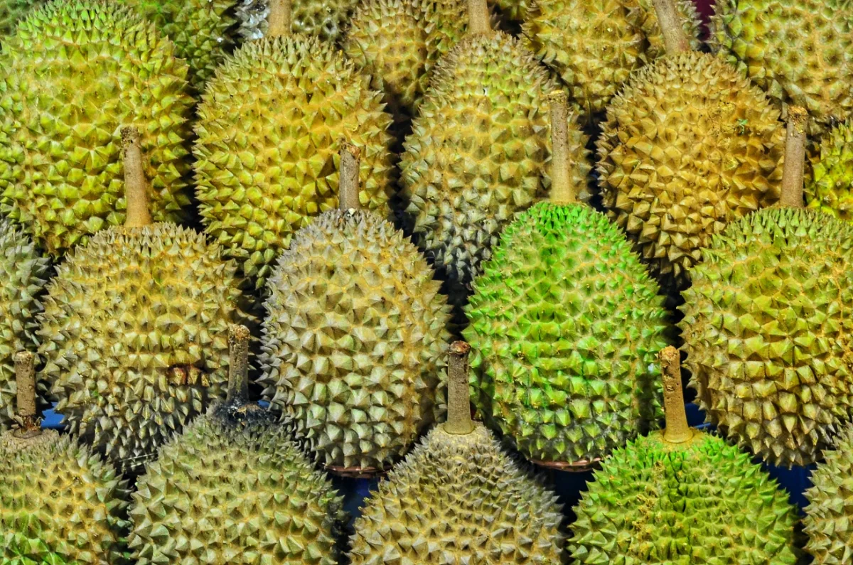 Durian, have to try when backpacking Penang