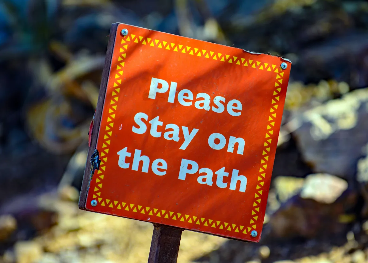 how to be a good traveller, follow the rules!