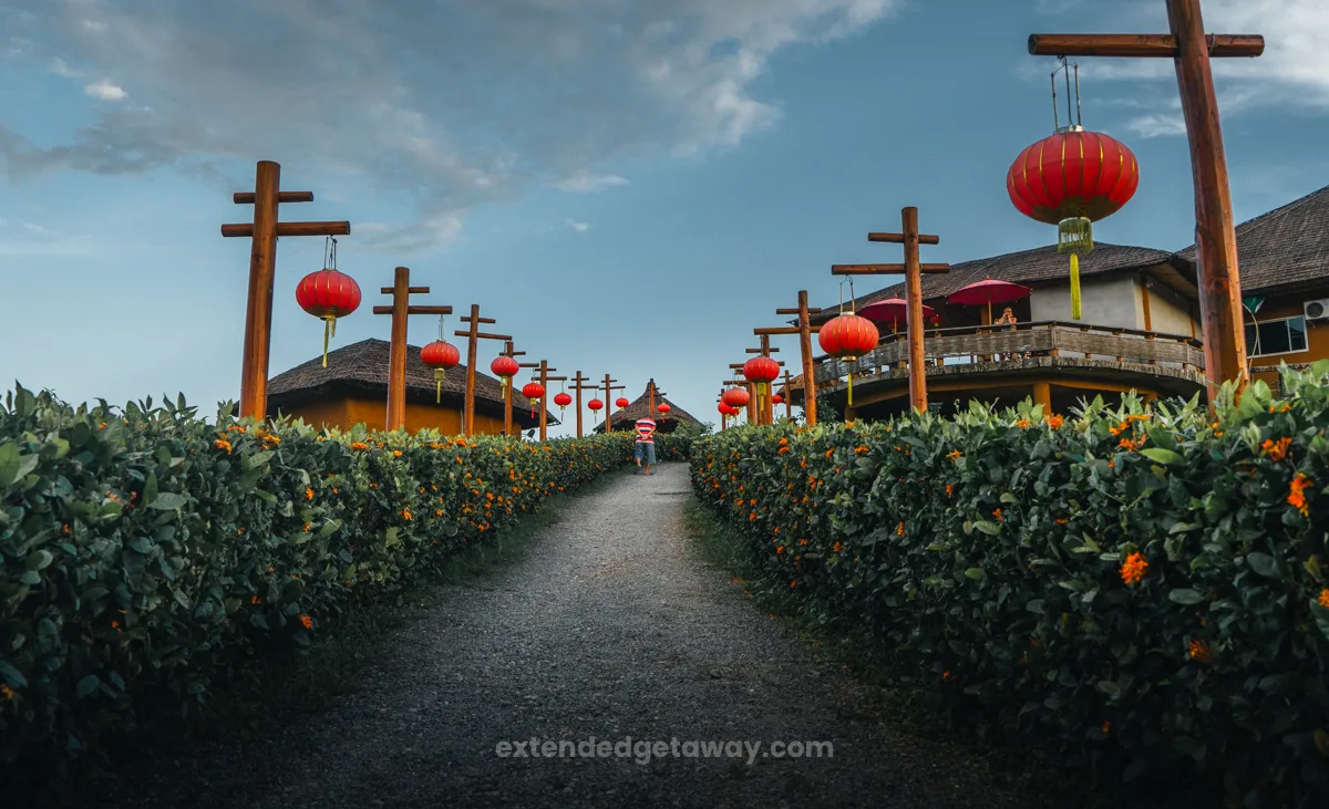 backpacking with camera gear in Pai Thailand. In this picture is an old man walking along a pathway between two hedges and chinese lanterns.